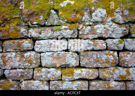 Détail du mur de pierres sèches patens Lichen briques texture Banque D'Images