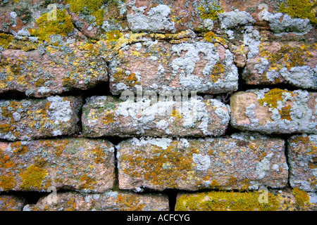 Détail du mur de pierres sèches patens Lichen briques texture Banque D'Images