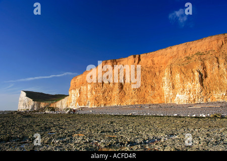 Vue le long des falaises en grès brun de la plage à Hope Gap, South Downs Way, 7 Sisters Cliffs, Sussex, Angleterre, Grande-Bretagne, Royaume-Uni Banque D'Images