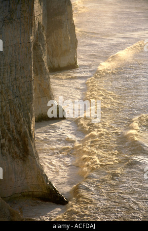 Vagues se brisant sur les falaises de craie sur la plage de Seaford Head, South Downs Way, 7 Sisters Cliffs, Sussex, Angleterre, Grande-Bretagne, Royaume-Uni, Banque D'Images