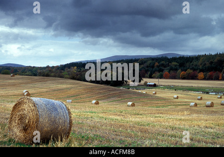 Paysage de rivière et champ inférieur Deeside Dee en Écosse avec moody sky et couleurs d'automne Banque D'Images