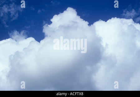 Banque du haut blanc flottant Cumulus ou Cumulonimbus sous un ciel bleu profond Banque D'Images
