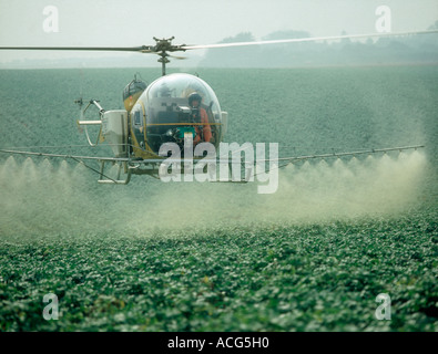 La pulvérisation par hélicoptère à échéance récolte de pomme de terre en oligo-éléments et d'un fongicide Banque D'Images