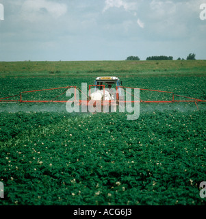 Tracteur avec la floraison de pulvérisation pulvérisateur récolte de pommes de terre contre l'épi Banque D'Images