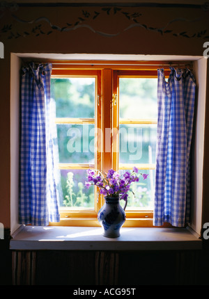 Des fleurs sur un rebord de fenêtre. Banque D'Images