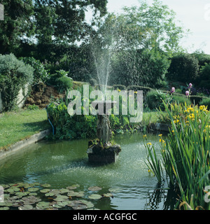Bassin de jardin fontaine ornementale drapeau jaune iris nénuphars et autres plantes Banque D'Images