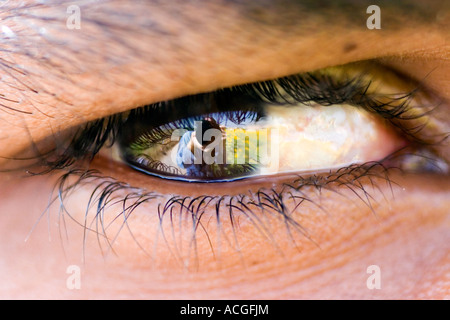 Close up of an Indian mans oeil avec un reflet du photographe Banque D'Images