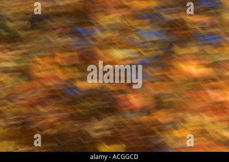 Couleurs d'automne abstrait Banque D'Images