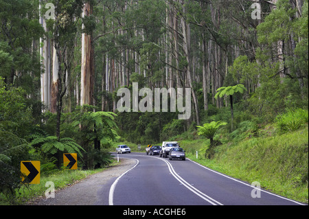 Route à travers de Dandenong près de Melbourne, Victoria Australie Banque D'Images