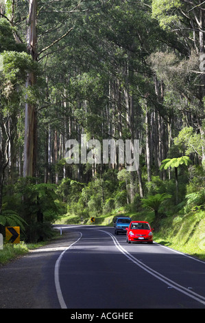 Route à travers de Dandenong près de Melbourne, Victoria Australie Banque D'Images