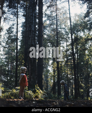 Enfants Un garçon et une fille dans un bois de pin chez les grands pins en automne Banque D'Images