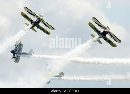 Papillon complètement wingwalking display Banque D'Images