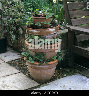 Les fraises en pots de terre cuite empilés sur le patio Banque D'Images