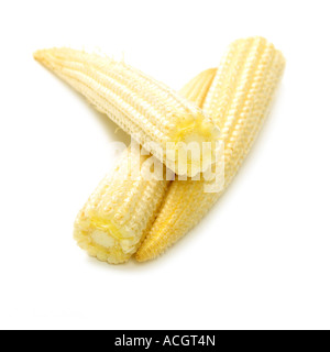 Des petits épis de maïs frais sur un fond blanc Banque D'Images