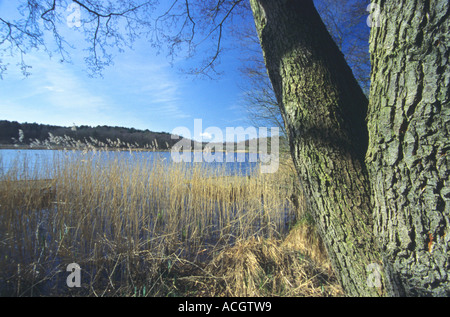 Hatchmere Lake, Cheshire, Angleterre Banque D'Images