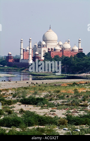 Une DES MERVEILLES DU MONDE TAJ MAHAL AGRA Banque D'Images