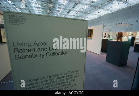 Sainsbury Centre for Visual Arts de l'Université d'East Anglia, Norwich, Norfolk, UK Banque D'Images