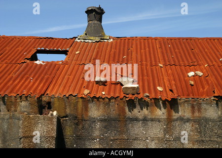 Vieux toit en tôle ondulée Cornwall UK Banque D'Images