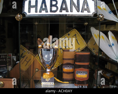 Vitrine de cigare Haarlem Holland Banque D'Images