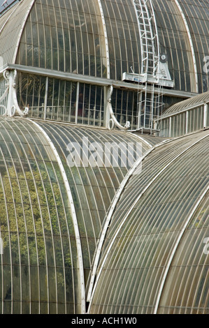 Le Palm House au Royal Botanic Gardens Kew London UK Banque D'Images