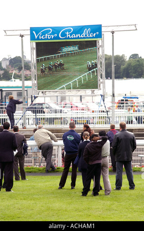 Les parieurs à l'hippodrome de York à regarder une course sur 'grand écran' Banque D'Images