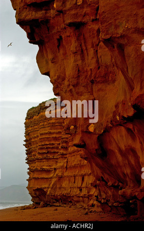 Plage ruche Cliffs at Burton Bradstock en Grande-Bretagne Dorset UK Banque D'Images