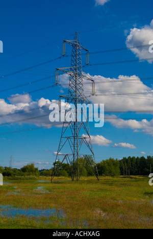 Pylône de l'électricité dans un champ inondé Banque D'Images