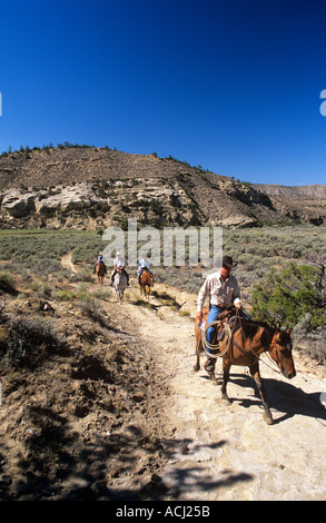 Lonesome Spur ranch Montana ronde bovins jusqu'à l'automne avec les visiteurs et les cow-boys Banque D'Images
