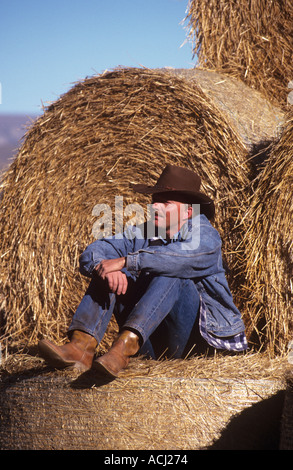 Lonesome Spur ranch Montana ronde bovins jusqu'à l'automne avec les visiteurs et les cow-boys Banque D'Images
