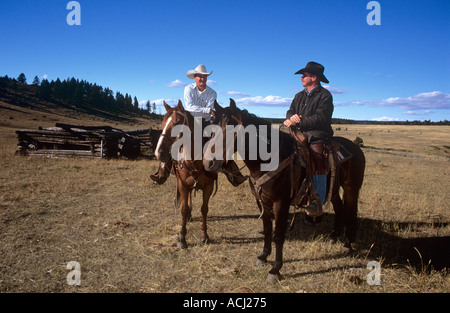 Lonesome Spur ranch Montana ronde bovins jusqu'à l'automne avec les visiteurs et les cow-boys Banque D'Images