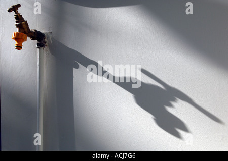 L'ombre d'une serre d'un robinet d'eau sur un mur peint en blanc Banque D'Images