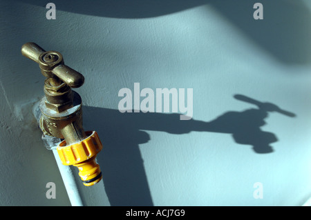 L'ombre d'une serre d'un robinet d'eau sur un mur peint en blanc Banque D'Images