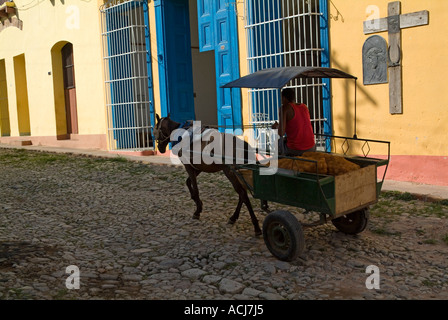 Excès de chauffeur de taxi à travers les rues de la ville sur son cheval et panier, Trinidad, Cuba. Banque D'Images