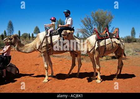 Train de chameaux, riders, Kata Tjuta National Park, Territoire du Nord, Australie Banque D'Images