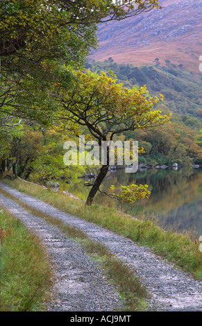 La voie à côté de Lough Veagh dans le Glenveagh National Park, comté de Donegal, Irlande. Banque D'Images