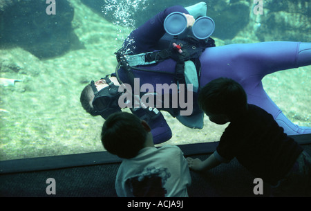 Nettoyage à l'intérieur d'une grande diver aquarium réservoir deux enfants regardant Banque D'Images