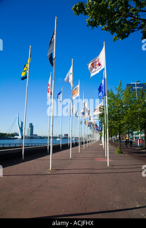 Drapeaux internationaux dans le port de Rotterdam en Hollande, en Europe Banque D'Images