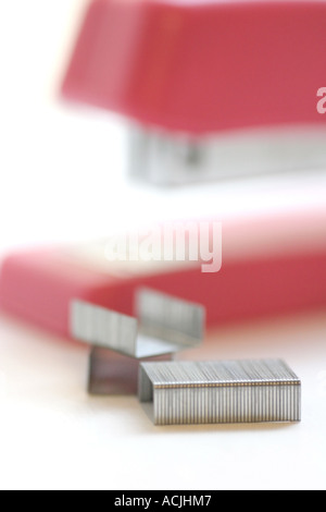 Agrafeuse et agrafes Banque D'Images