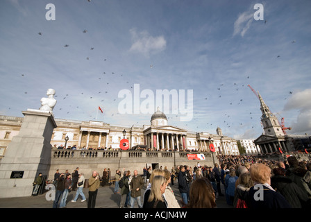 Poppys flottent dans les fontaines pour le jour du Souvenir à Trafalgar Square Londres 11 novembre 2006 Banque D'Images