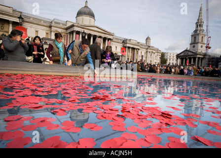 Poppys flottent dans les fontaines pour le jour du Souvenir à Trafalgar Square Londres 11 novembre 2006 Banque D'Images