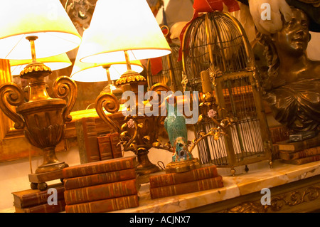 Intérieur d'une boutique d'antiquités dans le quartier San Telmo autour de la Plaza Dorrego Square, de vieux livres, une lampe en fer forgé, d'oiseaux en céramique Banque D'Images