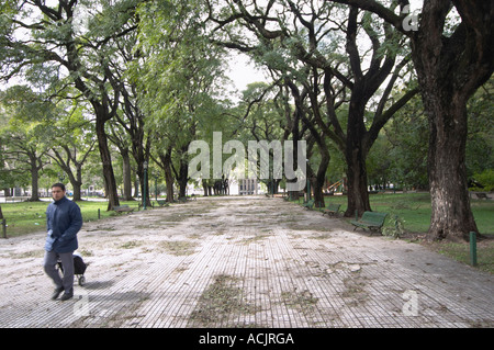 Le parc à la Plaza San Martin Square avec de grands arbres noirs, un homme qui marche avec un panier, sinon le parc est vide abandonné. La Plaza San Martin Square rebaptisée Plaza de la Fuerza Aerea ou Plaza Fuerza Retiro Buenos Aires Argentine, Amérique du Sud Banque D'Images
