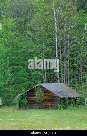 Hangar en bois entourant le feuillage de printemps, White Mountains region, New Hampshire Banque D'Images