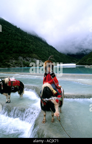 Les touristes sur le yak à la neige dans les montagnes du Dragon de Jade Lijang Chine Banque D'Images