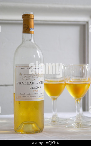 Apéritif servi dans le hall d'entrée, un verre jaune d or de Château de Cerons Château de Cerons (Cérons) Sauternes Gironde Aquitaine France Banque D'Images