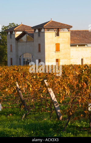 Le bâtiment nouvellement construit winery vu au vignoble doré jaune vert en fin d'après-midi soir soleil automne Domaine Vignoble des Verdots Conne de Labarde Bergerac Dordogne France Banque D'Images