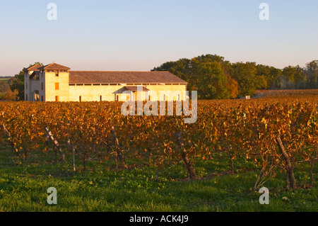 Le bâtiment nouvellement construit winery vu au vignoble doré jaune vert en fin d'après-midi soir soleil automne Domaine Vignoble des Verdots Conne de Labarde Bergerac Dordogne France Banque D'Images