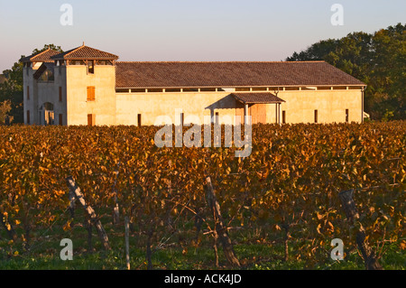 Le bâtiment nouvellement construit winery vu au vignoble doré jaune vert en fin d'après-midi soir soleil automne Domaine Vignoble des Verdots Conne de Labarde Bergerac Dordogne France Banque D'Images