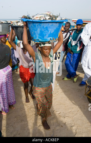 Les jeunes femmes portent des bassins de poissons frais sur la tête de plage sur le marché aussi ouvrir les bateaux de pêche arrivent avec la Gambie Tanji capture Banque D'Images