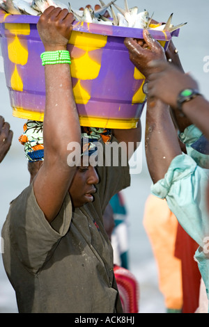 Les jeunes femmes portent des bassins de poissons frais sur la tête de plage comme ouvrir les bateaux de pêche arrivent avec la Gambie Tanji capture Banque D'Images